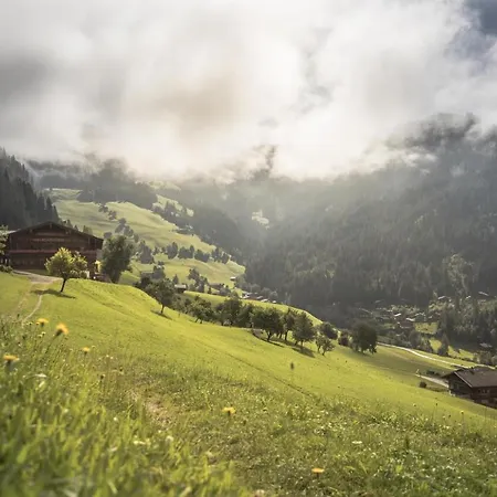 Апартаменты Alpbachtal Радфельд