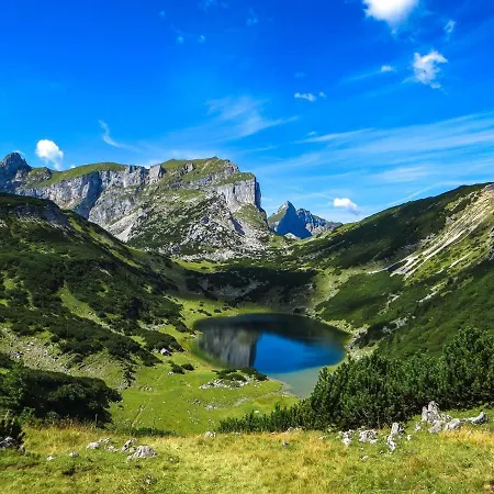 Apartament Alpbachtal *
